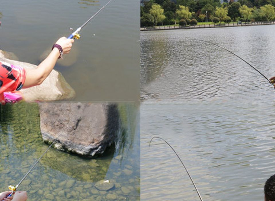 Mini canne à pêche télescopique Mini Rock Équipement de pêche portable pour  saltwear Freshwater