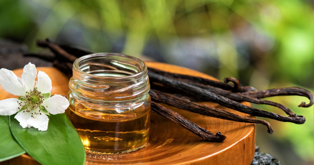 La Vanille Bourbon : douce et parfumée - Herbier de plantes – Ladrôme  Laboratoire