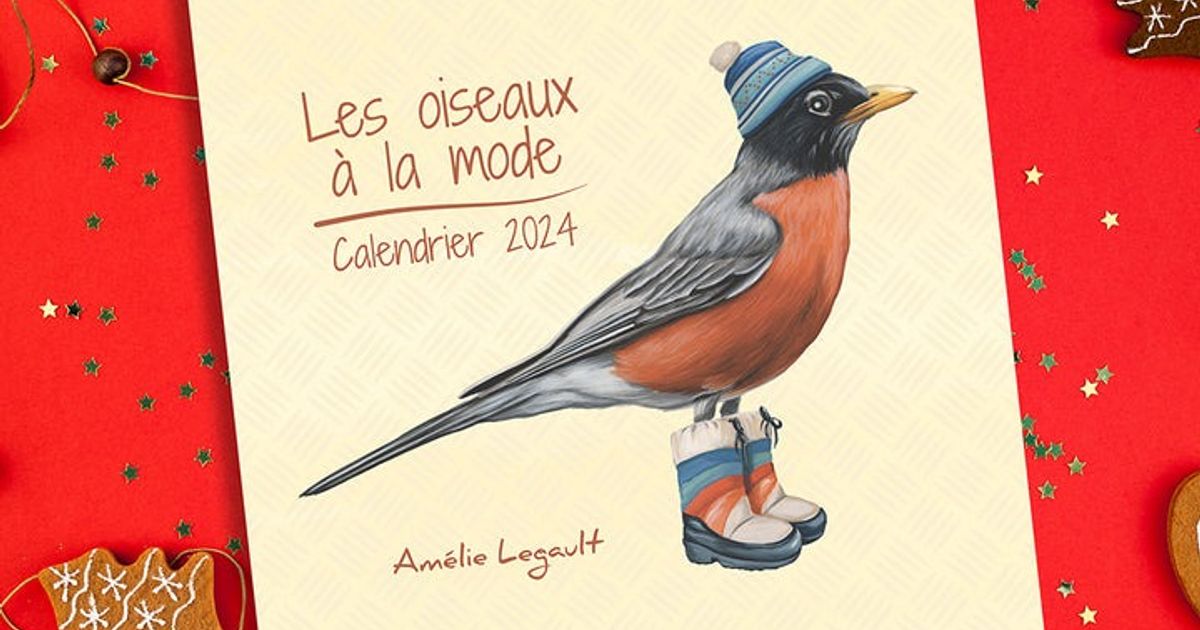 AMELIE LEGAULT - ART - Instagram: Il est arrivé! Le calendrier 2024 des  oiseaux à la mode! 😃 Disponible en français et en anglais sur  amelielegault.com - Here it is! The 2024