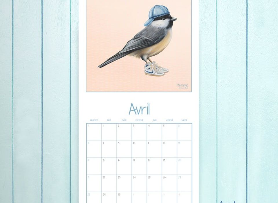 Calendrier 2024 d'oiseaux extrêmement précis, calendrier drôle d'oiseaux  précis, calendrier mural oiseau 2024, calendrier mensuel oiseaux suspendus