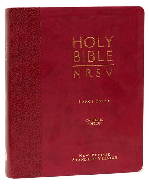 Nrsv Catholic Bibles