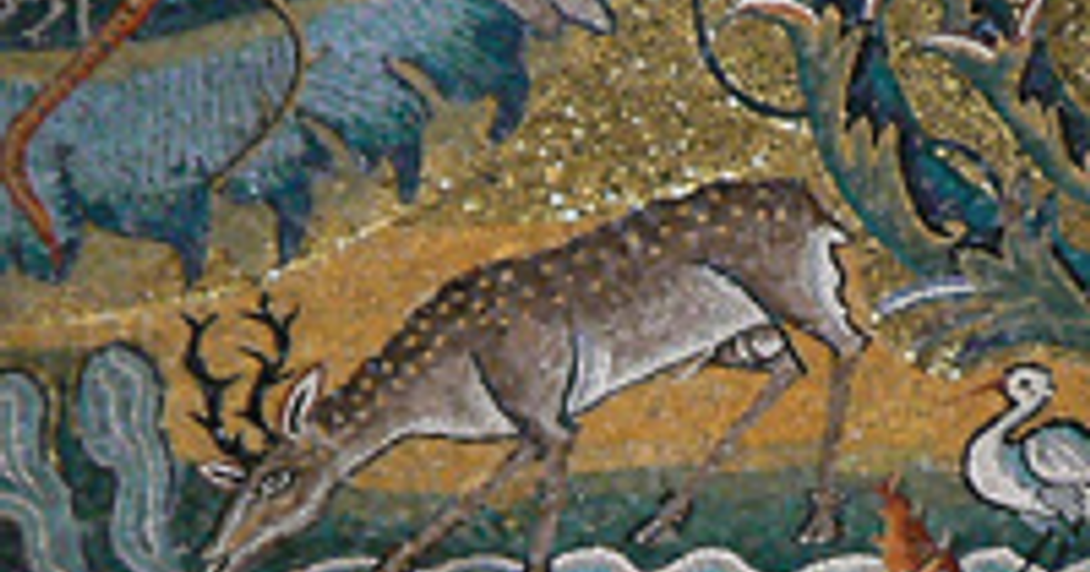 Drinking from the Sources: How Scripture and Liturgy Shape Our