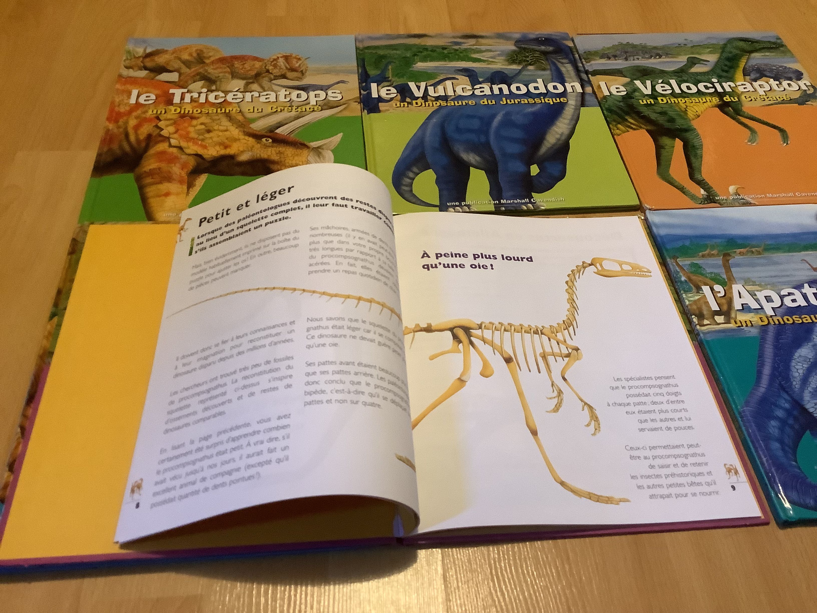 Livre puzzle 🦖 Dinosaures 🦕 - Dès 5 ans