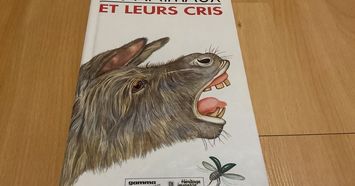 🌞 Album Les animaux et leurs cris 🌞