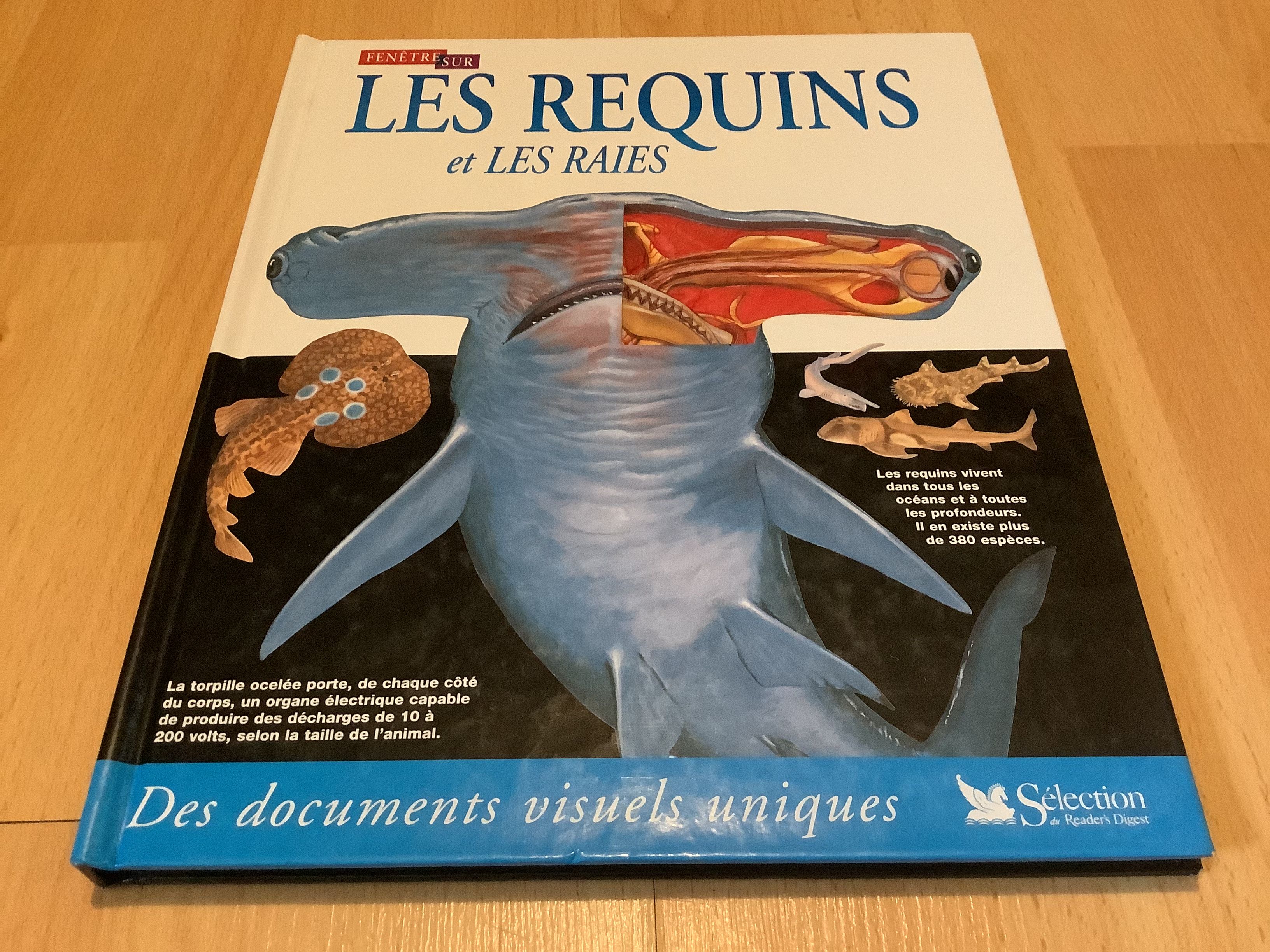 cartonn Les requins et les raies