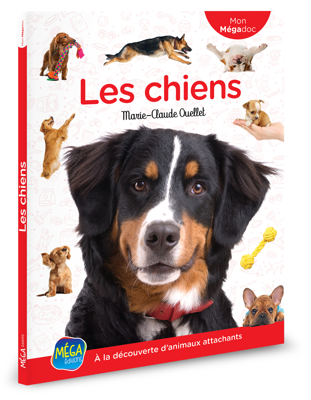 Les chiens - Mon Mégadoc
