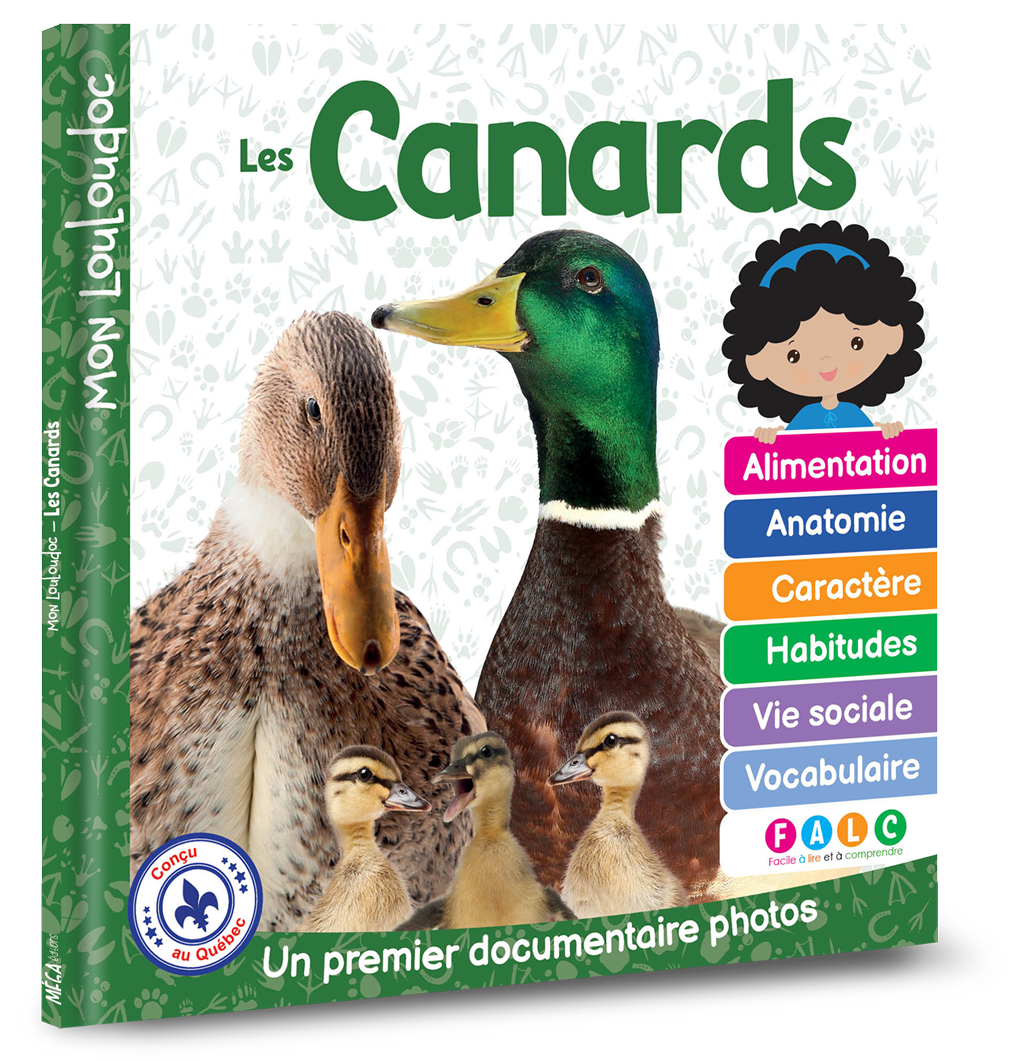 Aide-mémoire (mémo) émaillé Motif Canards - Émail Véritable, Fabriqué En France - Neuf
