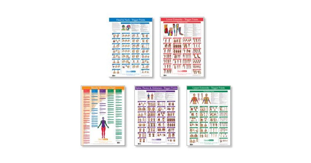 Triggernometry Poster Poster Trigger Point Charts Complete Set Of 5
