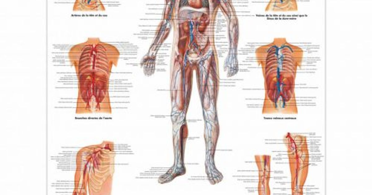 Understanding visual data 5