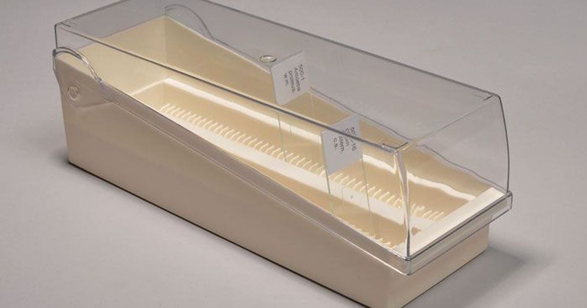Slide storage holder with transparent lid, plastic