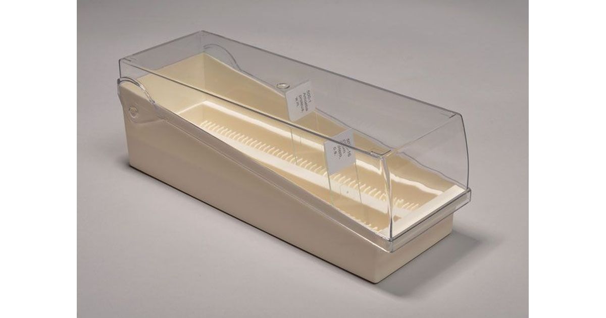 Slide storage holder with transparent lid, plastic