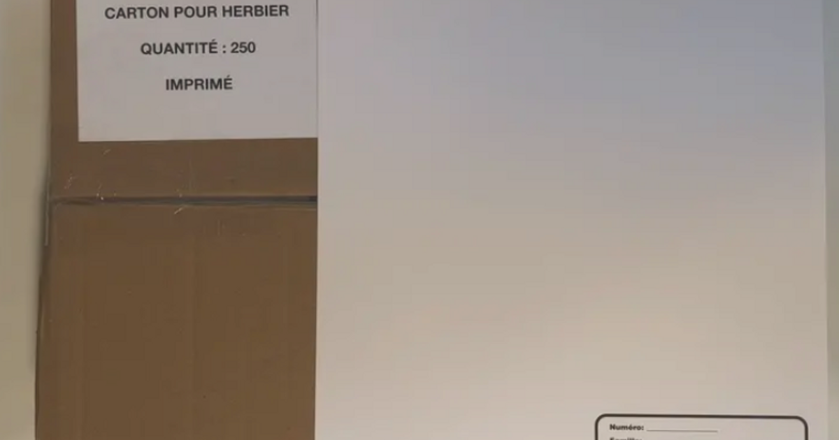 CARTON POUR HERBIER PREIMPRIME & VIERGE