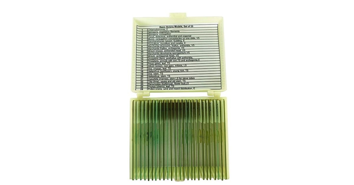 Basic Botany Models Slide Set of 25