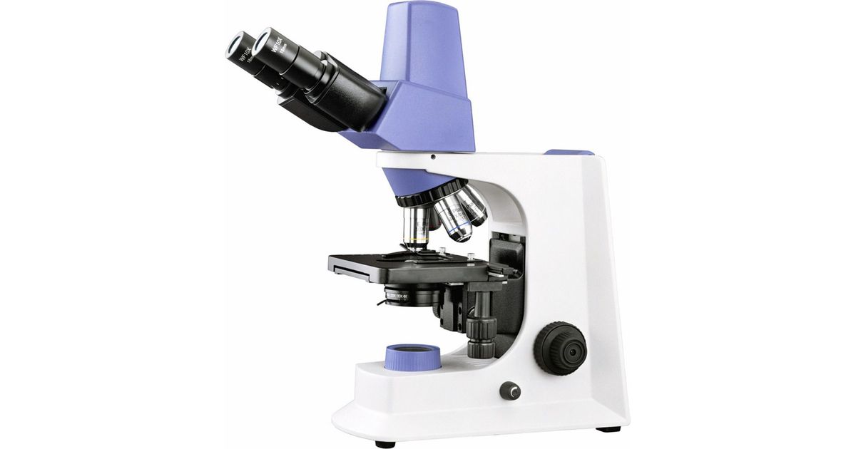 1008D5 Infinity Digital Microscope