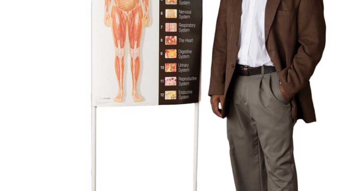 The Sequential Didactic Program of Human Anatomy