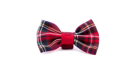 NOEUD-PI-1803 | Pilouf