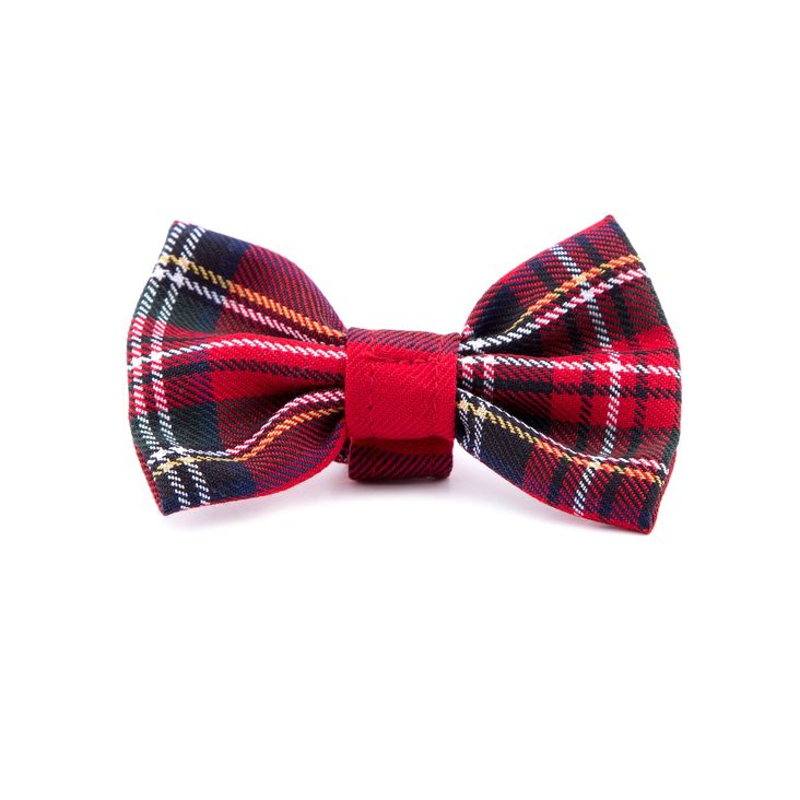 NOEUD-PI-1803 | Pilouf