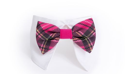 COLLERETTE POUR CHAT MI-2301| Milouf