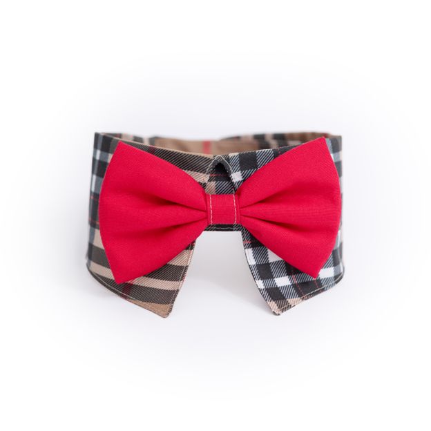 COLLERETTE POUR CHIEN PI-2301| Pilouf