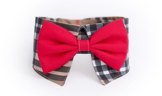 COLLERETTE POUR CHIEN PI-2301| Pilouf