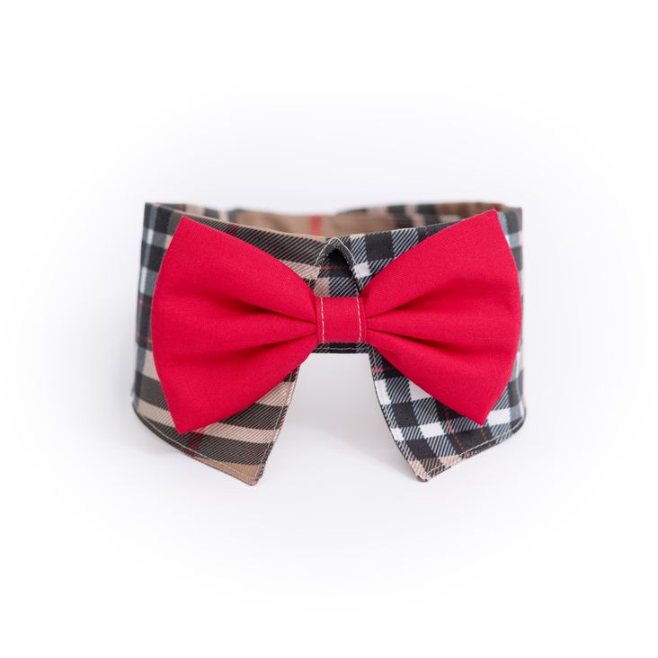 COLLERETTE POUR CHIEN PI-2301| Pilouf