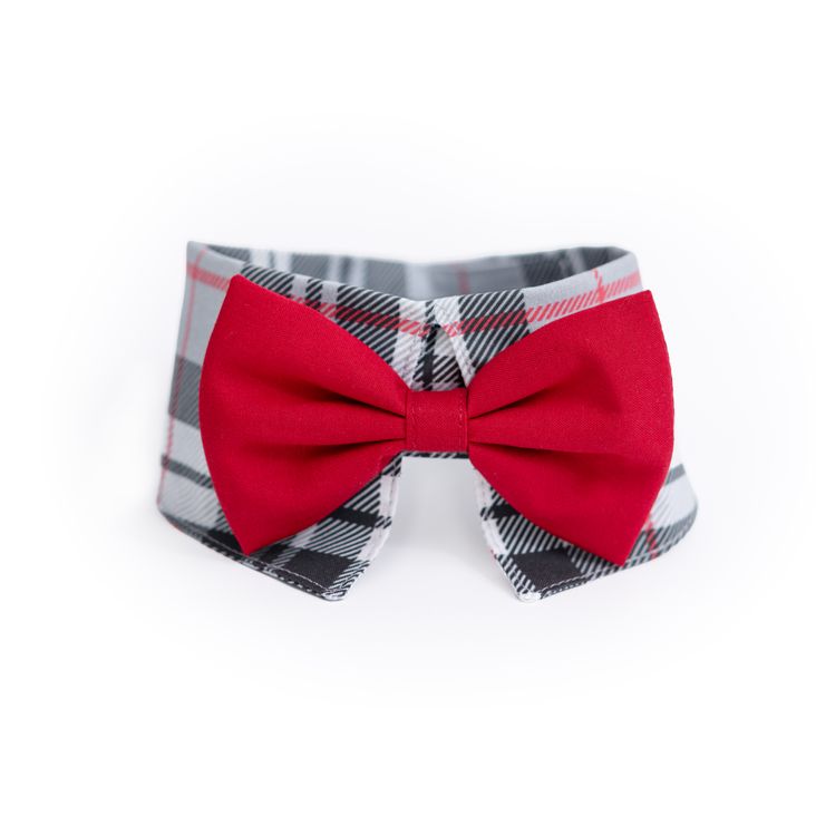 COLLERETTE POUR CHIEN PI-2302| Pilouf