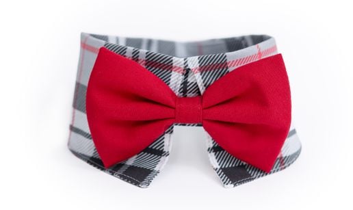 COLLERETTE POUR CHIEN PI-2302| Pilouf