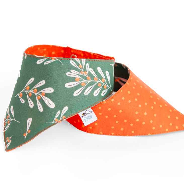 FOULARD POUR CHIEN PI-2405| Pilouf