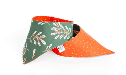 FOULARD POUR CHIEN PI-2405| Pilouf