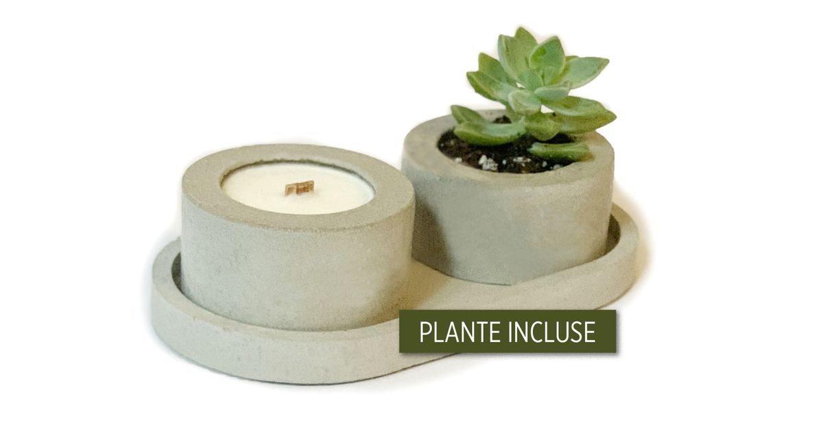 Ensemble chandelle parfumée 40 g + plante avec 3 pièces de béton