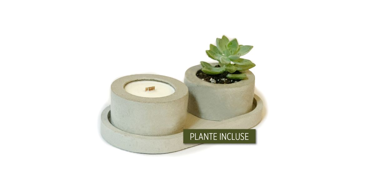 Ensemble chandelle parfumée 40 g + plante avec 3 pièces de béton Ensemble chandelle parfumée 40 g + plante avec 3 pièces de béton