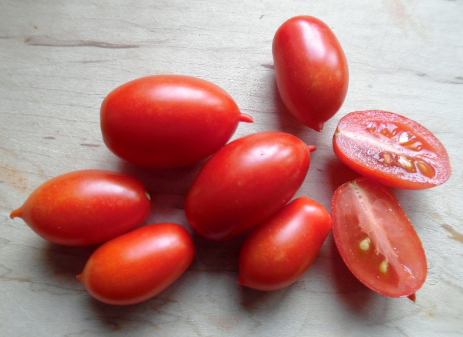 mini tomato様 Micro-Dwarf Baby Tomato – vegetomix