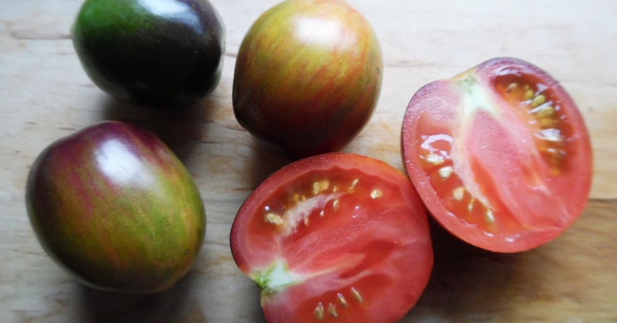 Gargamel Tomato seeds