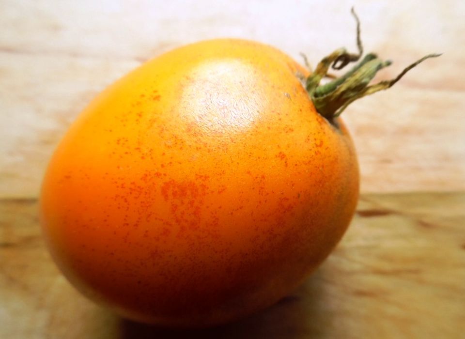 Amish Gold Slicer Tomato