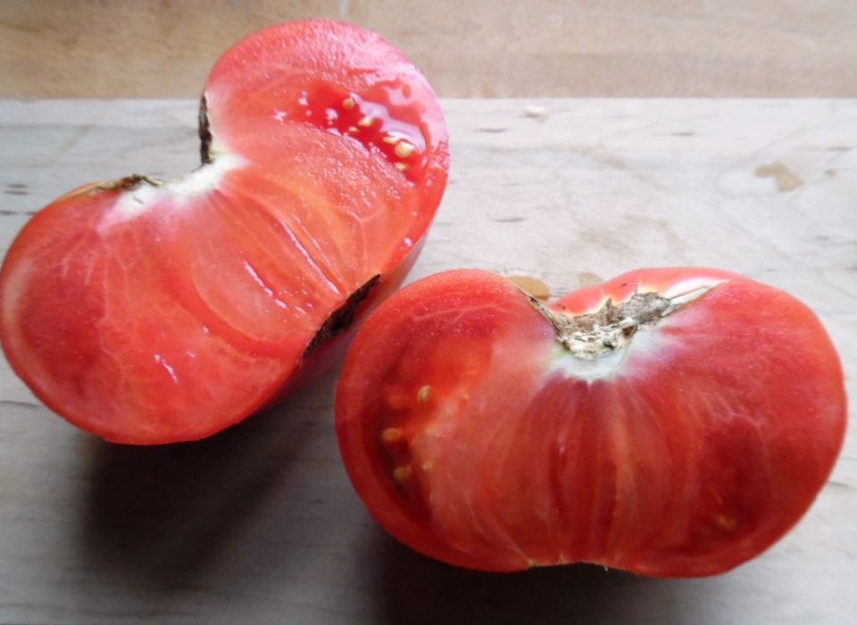 Watermelon Beefsteak tomato seeds