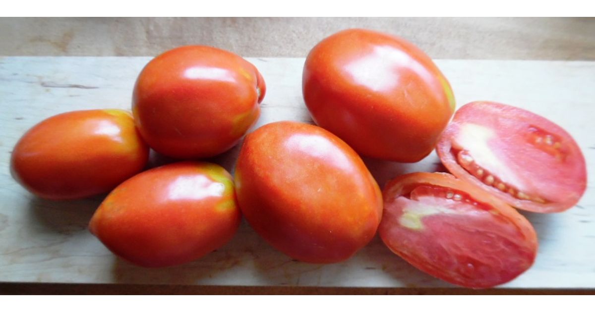 Russian Big Roma Tomato seeds