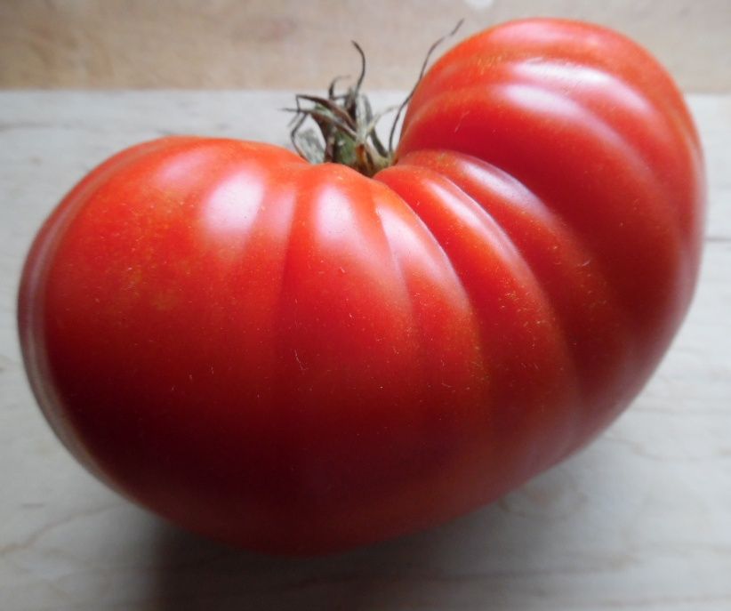 Sunset’s Red Horizon Tomato seeds