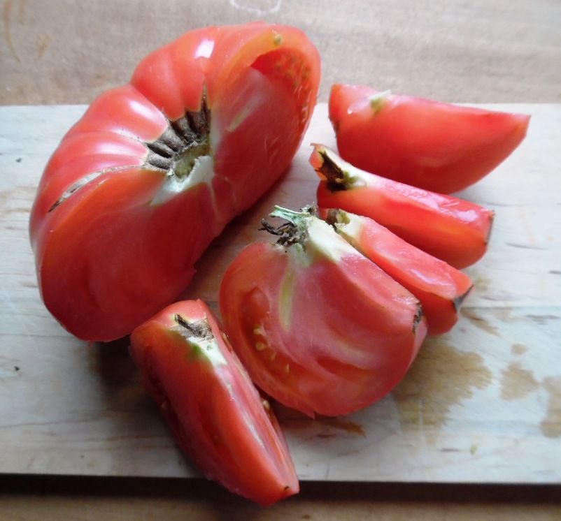 Watermelon Beefsteak tomato seeds