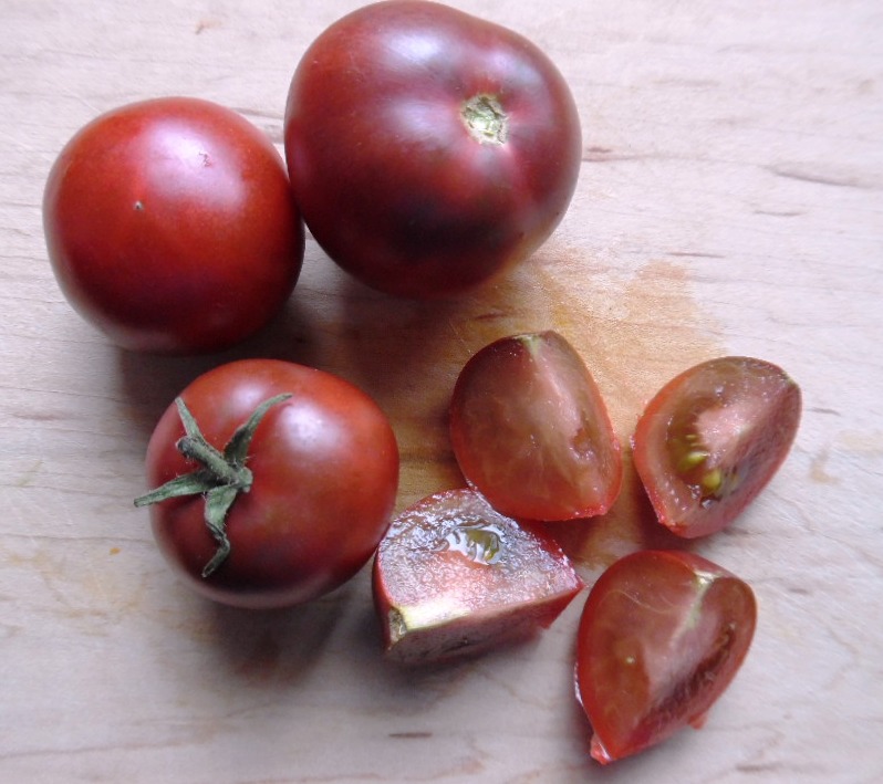 DWARF TOMATO - Velvet Night – Seeds of Plenty devilock underworld
