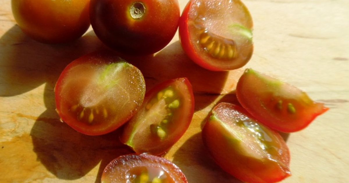 Brown Berry Tomato seeds