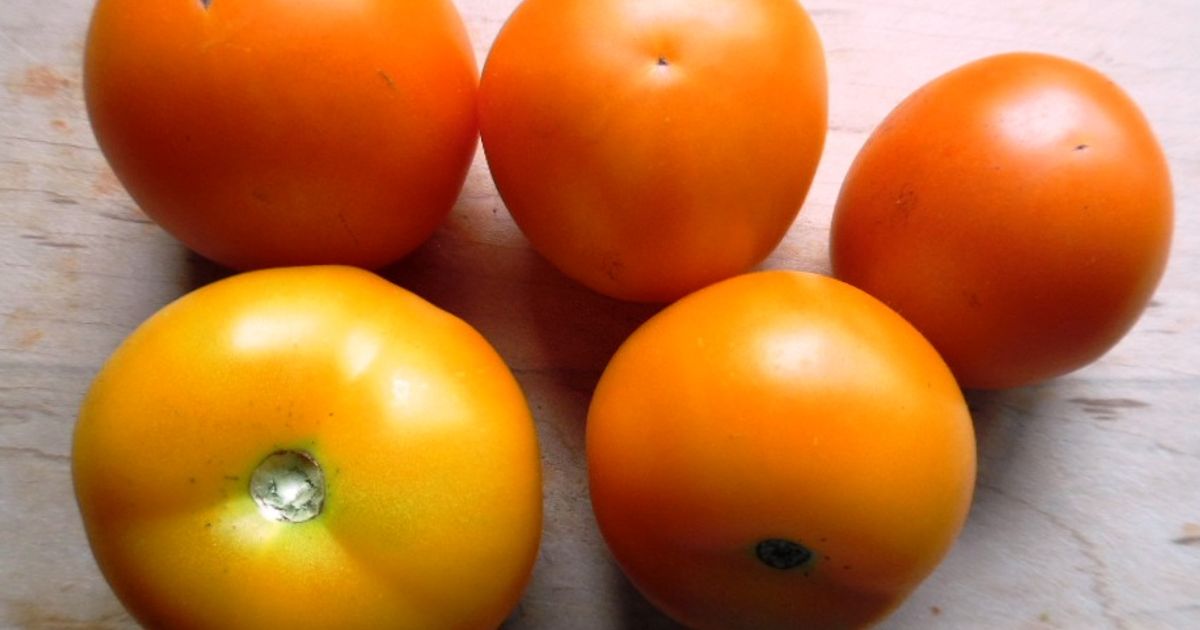 Jaune Flammée Tomato Seeds