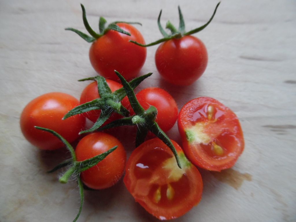 gheDB2T2_baby2.JPG?w=1024&h=768