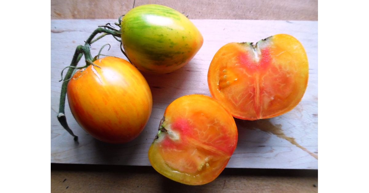 Bleeding Heart Tomato