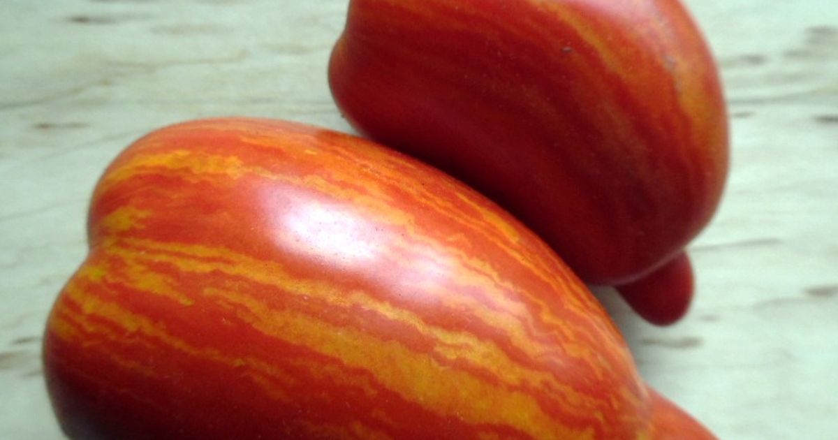 stony-brook-speckled-dwarf-tomato