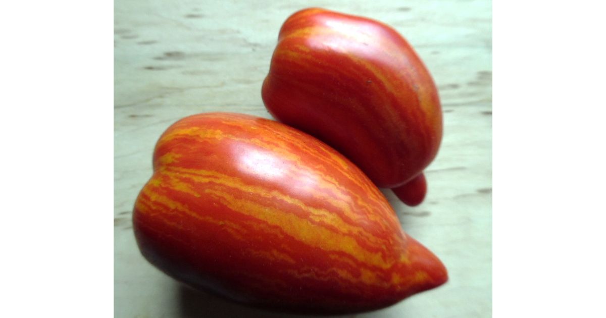 Stony Brook Speckled Dwarf Tomato stony-brook-speckled-dwarf-tomato