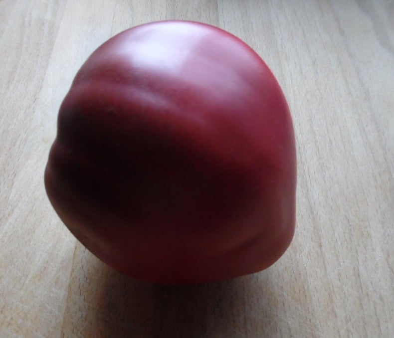 Chinook Tomato | Variety adapted to Canada