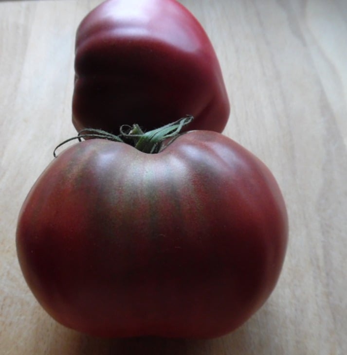 Chinook Tomato | Variety adapted to Canada
