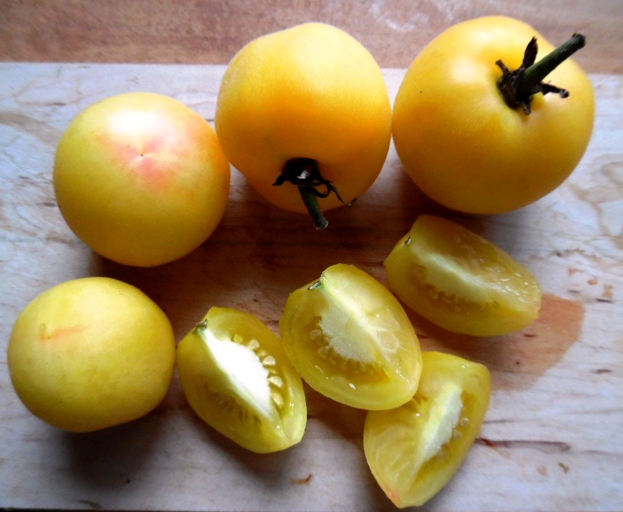 Wapsipinicon Peach Tomato seeds