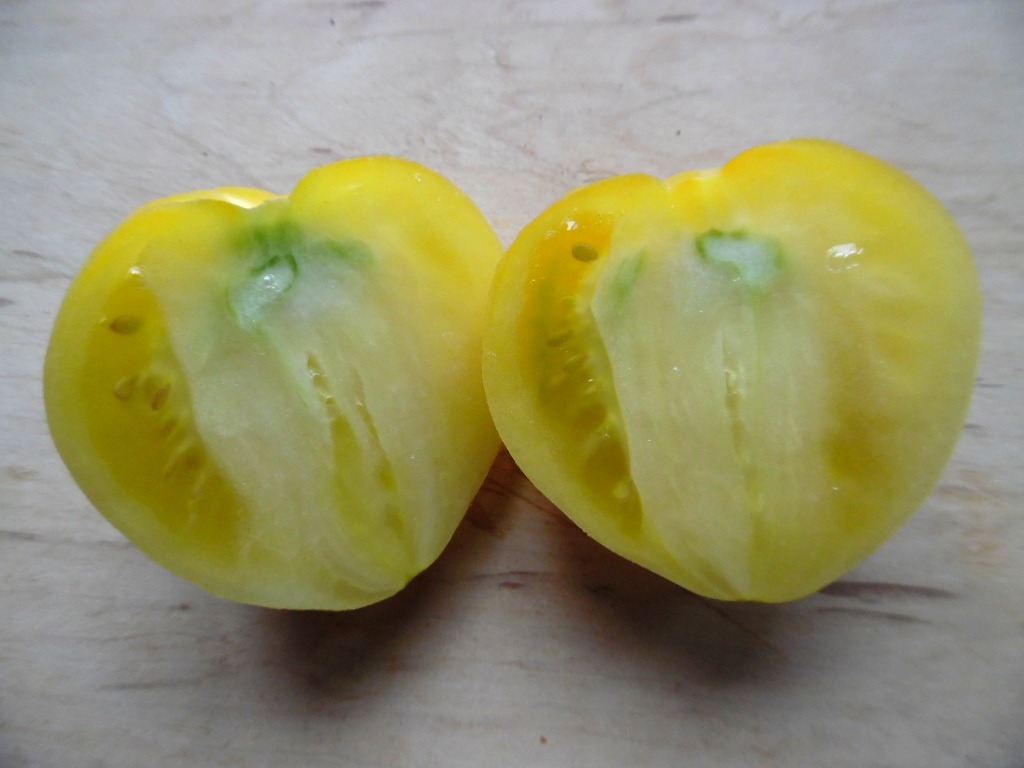 Dwarf Lemon Ice Tomato seeds