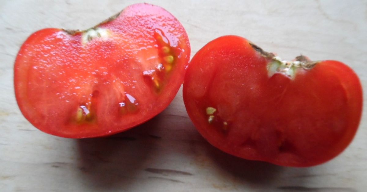 New Big Dwarf Tomato -Heirloom seeds